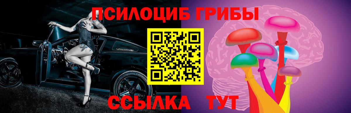 Ивантеевка  Псилоцибиновые грибы GOLDEN TEACHER  Вход с VPN 